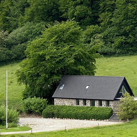 Stenhuset I Pilbrodalen Сканнерборг Экстерьер фото